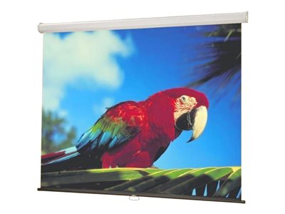 Draper Luma NTSC Format Fiberglass Matt White