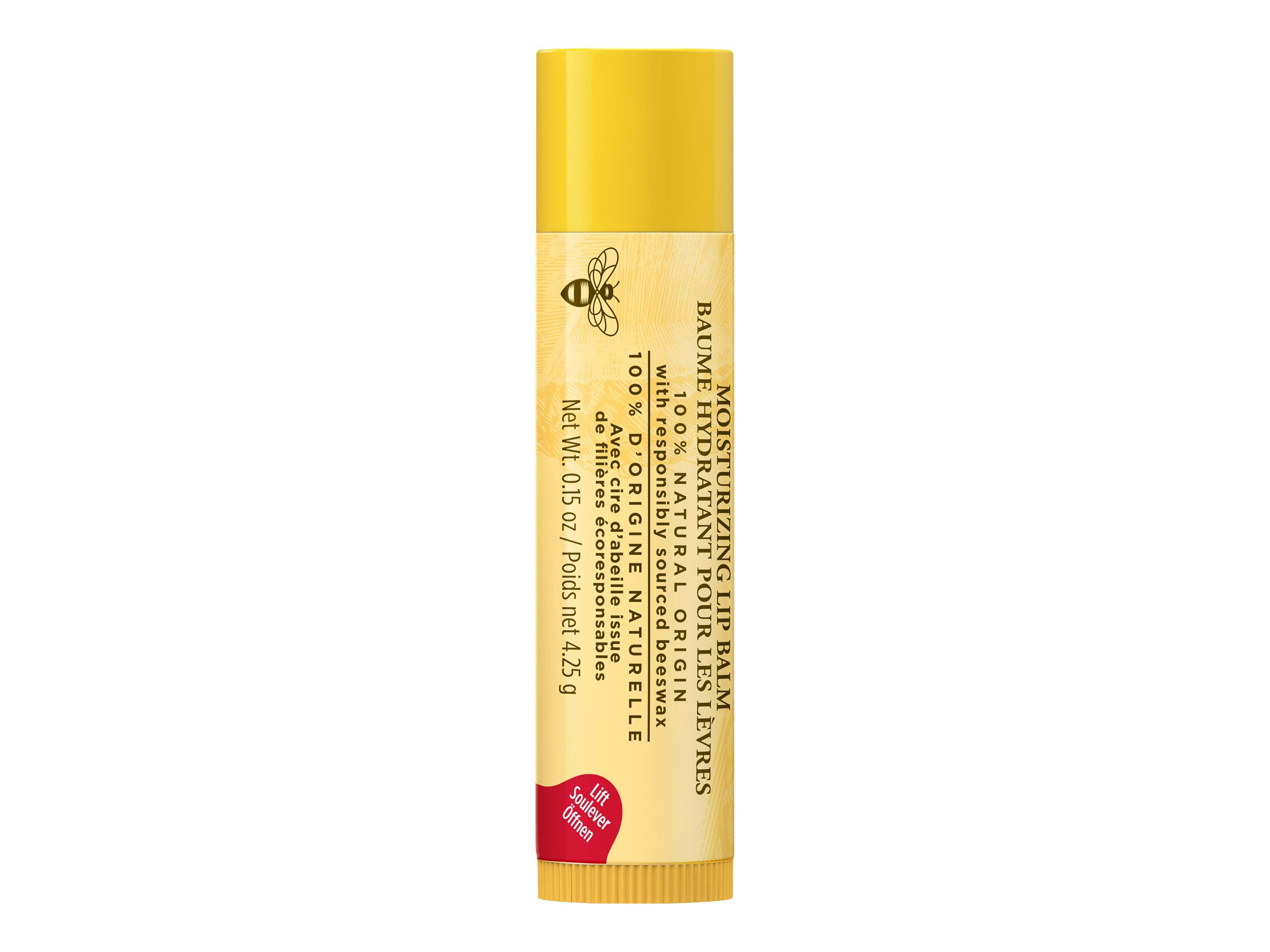 Burt's Bees Moisturizing Lip Balm Tube - Tropical Pineapple