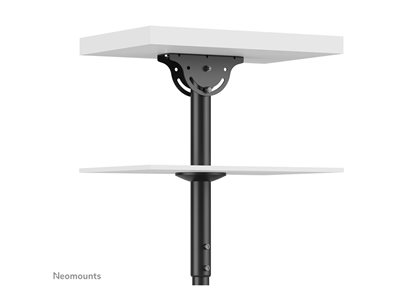 NEOMOUNTS Flat screen ceiling Mount