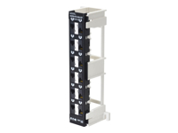 Eaton Tripp Lite Series 12-Port Cat6a Wall-Mount Patch Panel - PoE+ Compliant, 110, 568A/B, RJ45 Ethernet, Offset Ports, TAA
