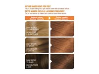 Garnier Belle Color Permanent Hair Color - Light Reddish Brown (64)