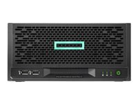 HPE ProLiant MicroServer Gen10 Plus v2 Performance 1