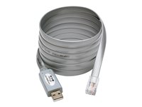 Tripp Lite Seriel adapter USB 250Kbps Kablet 