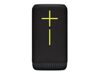 Ultimate Ears EVERBOOM Højttaler Sort