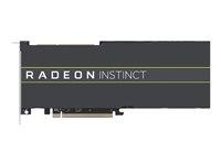 AMD Radeon Instinct MI50 (32GB) 32GB