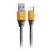 Comprehensive Pro AV/IT Specialist Series
