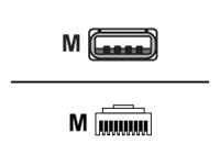 Zebra - Câble de scanner de code-barres - USB (M) pour RJ-50 (M) - 2.13 m