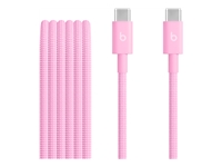 Beats - Câble USB - USB-C (M) pour USB-C (M) - USB 2.0 