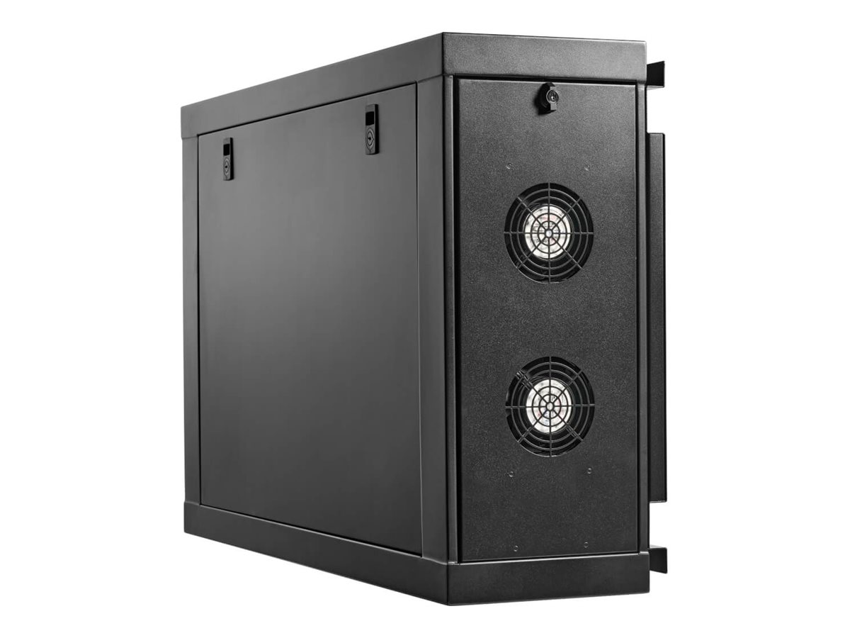 Eaton Tripp Lite Series SmartRack Wall-Mount Mini Rack Enclosure 4U Low-Profile Side-Mount Black