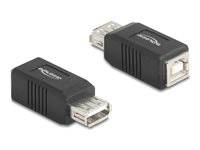 Delock USB-adapter Sort