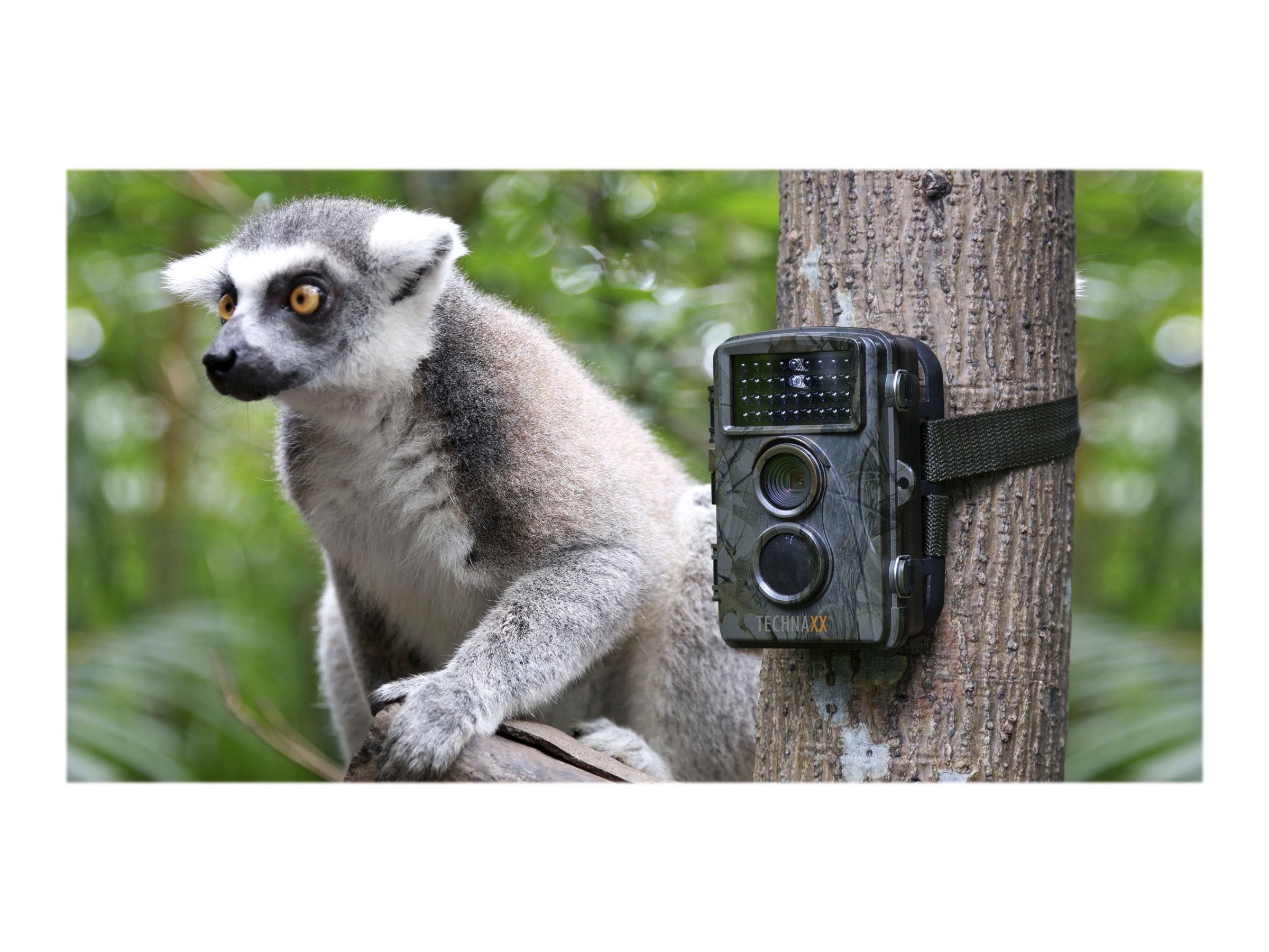 Technaxx Nature Wild Cam TX-69 - Kameraverschluss - 5.0 MPix / 12.0 MP (interpoliert) - 1080p / 15 BpS