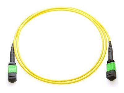 Axiom - Network cable | Overview, Specs, Details | SHI Government