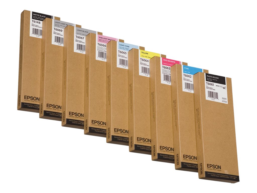 EPSON 5LB T6069 ink cartridge light