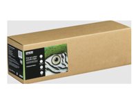 Epson Fine Art II - rag paper - matte - 1 roll(s) - Roll (43.2 cm x 15 m) - 300 g/m²