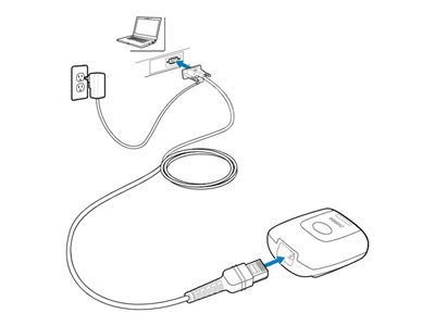 Zebra - Serial cable