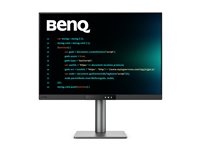 BenQ Programming RD280UG - LED monitor - 28" - HDR