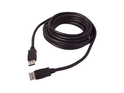 SIIG - DisplayPort cable