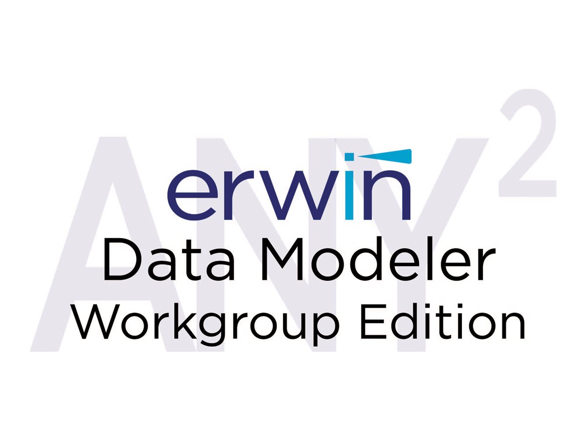 erwin Data Modeler Workgroup Edition | www.shi.com