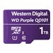 WD Purple WDD100T1P0C
