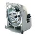 eReplacements RLC-047-ER Compatible Bulb - projector lamp - TAA Compliant