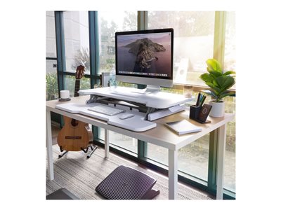 Standing Desk Converter 38