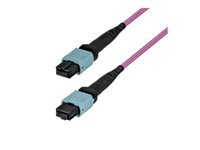 Startech - Cordon de raccordement - monomode MTP/MPO-12 (F) pour monomode MTP/MPO-12 (F) - 2 m 