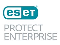 ESET PROTECT Enterprise Sikkerhedsprogrammer Niveau B5 1 plads 3 år 