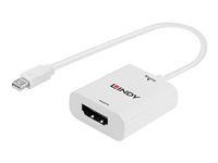 Convertisseur Actif Mini DisplayPort 1.2 vers HDMI 18G