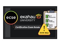 ECSE Design - exam