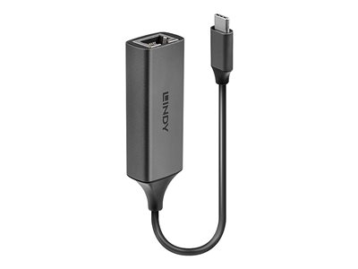LINDY USB 3.1 TypeC Gigabit Converter