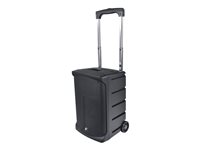 Ergoguys Califone PA21-EDU Speaker for PA system wireless Bluetooth 100 Watt 2-wa