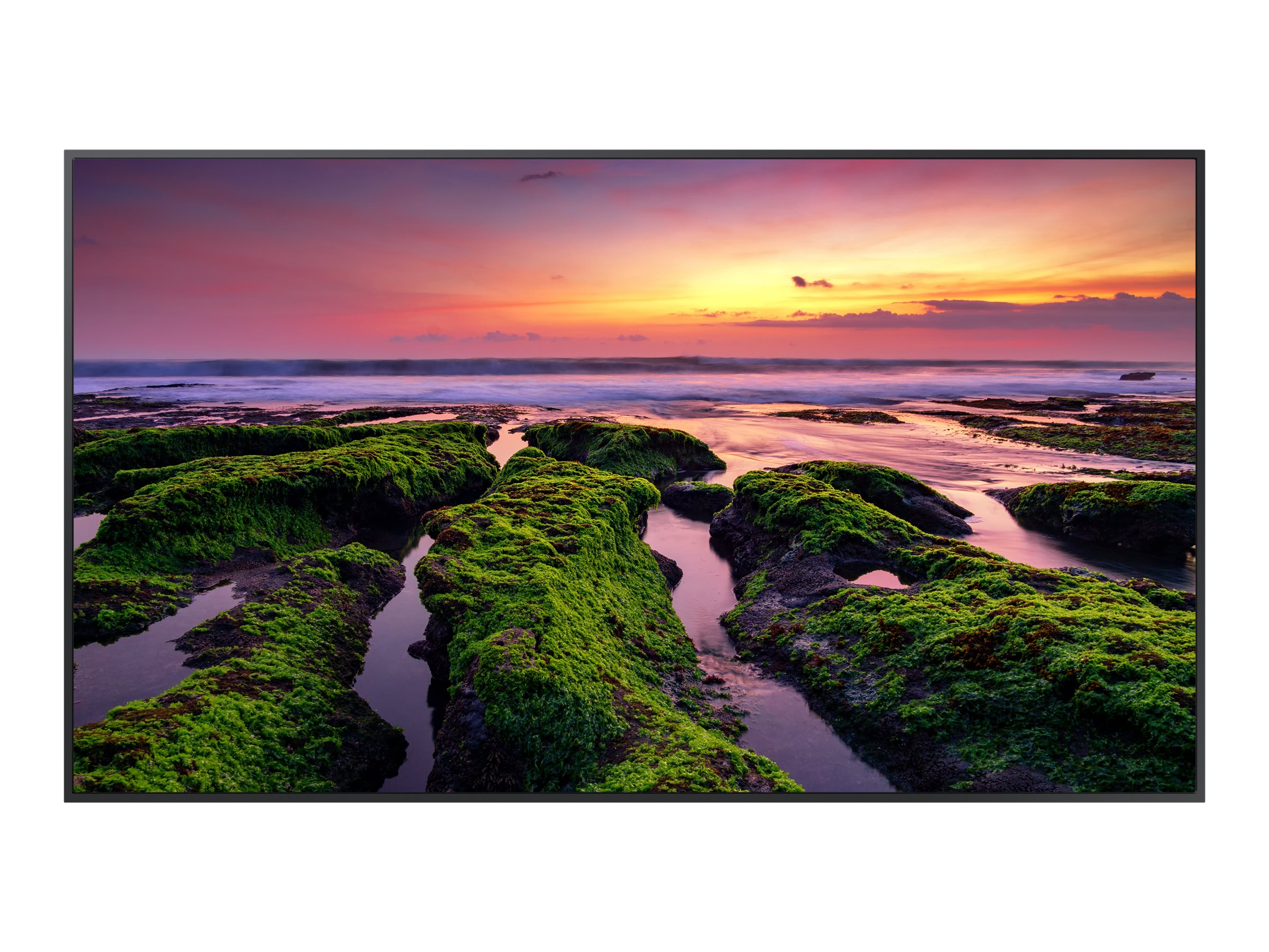 65  COMM 4K UHD LED LCD DISP