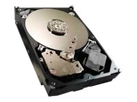 Seagate TDSourcing Video 3.5 HDD ST3500414CS Hard drive 500 GB internal 3.5INCH SATA 3Gb/s 