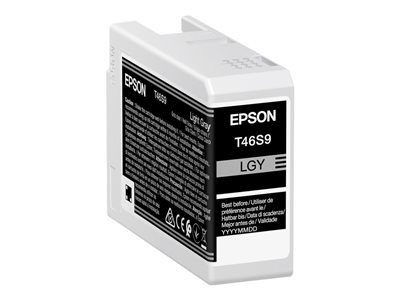 EPSON Singlepack Light Gray T46S9 UltraC