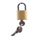 Perm-A-Store Turtle Lock 5020