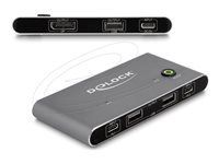 DeLock KVM / USB switch
