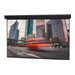 Da-Lite Professional Electrol Series Projection Screen