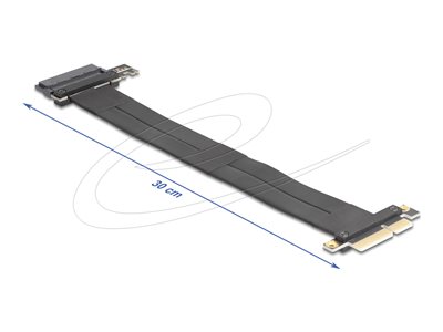 4043619815074 - DELOCK Riser Karte PCI Express 30x4Stecker zu U2 SFF-8639