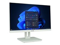 TERRA 2410HA AIO Core i5 I5-14500 16GB 500GB Intel UHD Graphics 730 Windows 11 Pro