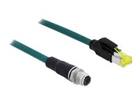 DeLOCK CAT 6a Kabel med afskærmning med folie og kobberfletning (SFTP 1m Netværkskabel Vandblå