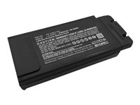 DLH Energy Batteries compatibles PAIC5206-B067Q2