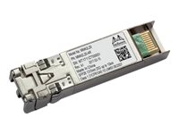 Intel Ethernet SFP28 Optics - SFP28 transceiver module - 10 GigE