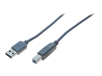 MCAD Cbles et connectiques/Liaison USB & Firewire ECF-532513