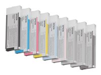 EPSON 5LB T6066 ink cartridge light mag