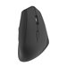 TNB ERGO Line Ergo Wireless Mouse
