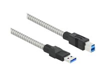 DeLOCK USB 3.2 Gen 1 USB-kabel 1m Sølv