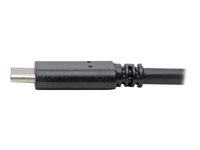 EATON TRIPPLITE USB-C to USB-A Cable M/M