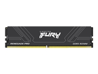 Kingston FURY Renegade Pro