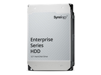 Synology - Disque dur - Enterprise - 12 To 