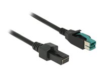 DeLOCK 8 pin USB PlusPower (12 V) (male) - 8-pins (2x4) PoweredUSB Remote Side (male) Sort 2m Forstærket USB kabel